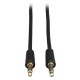 TRIPP LITE - Tripp Lite P312-006 Cable de Audio Mini Estéreo de 3.5 mm para Micrófonos